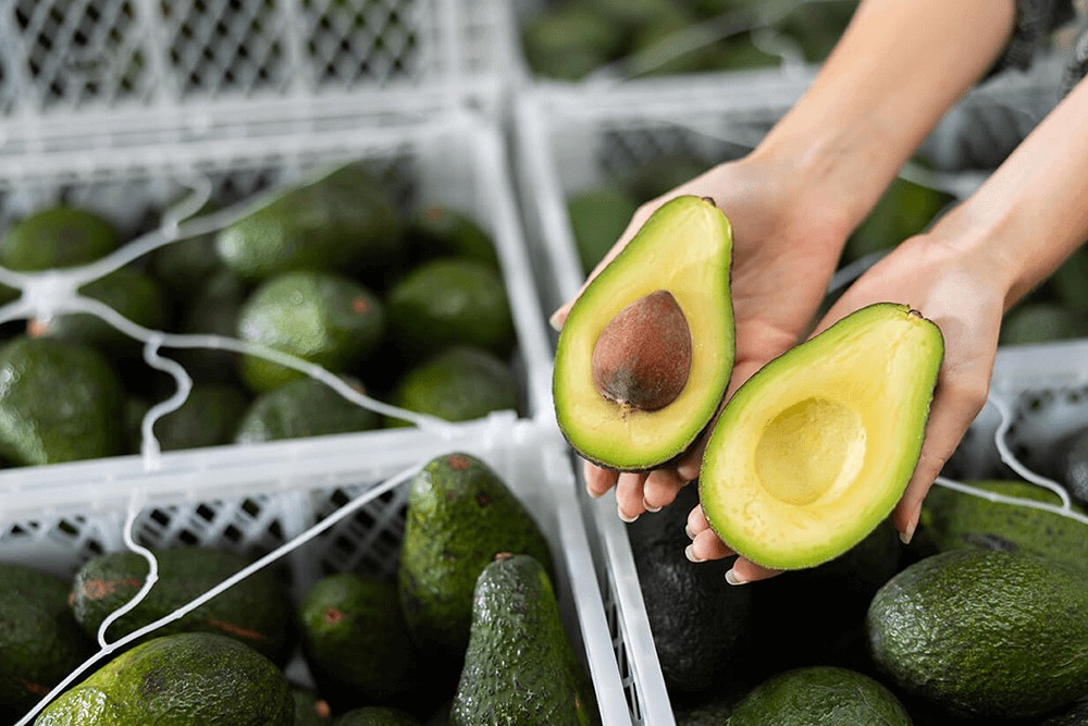 Los principales destinos comerciales de la palta peruana